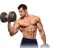 using sarms