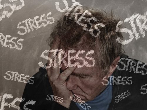 Facts to Know About Nootropics