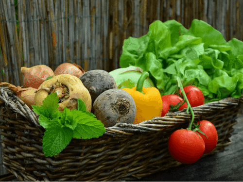Benefits of Naturopathic Medicine